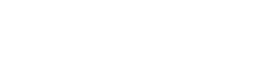 Mavigex-logo-bianco