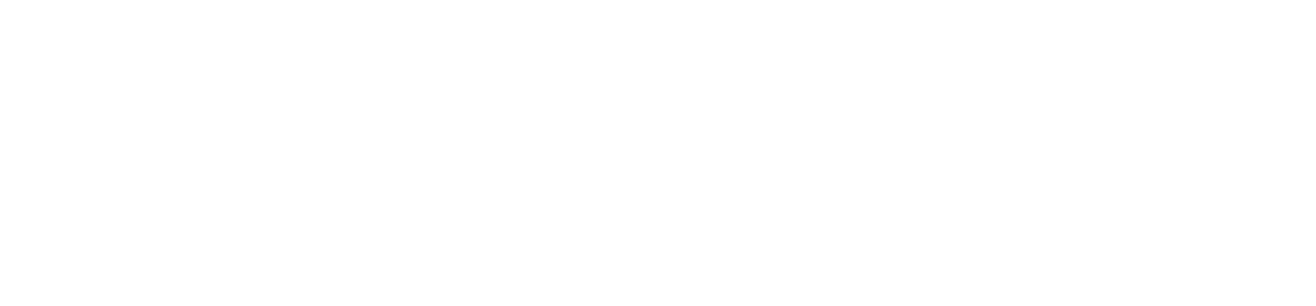 mavigex_logo_png_white (1)